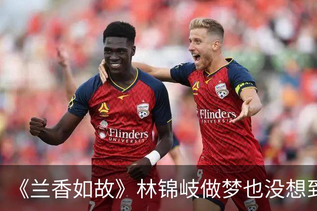 《兰香如故》林锦岐做梦也没想到！鲁鉴殴打林绣莱，就是故意做给他看的——鲁鉴等的就是林锦岐动手