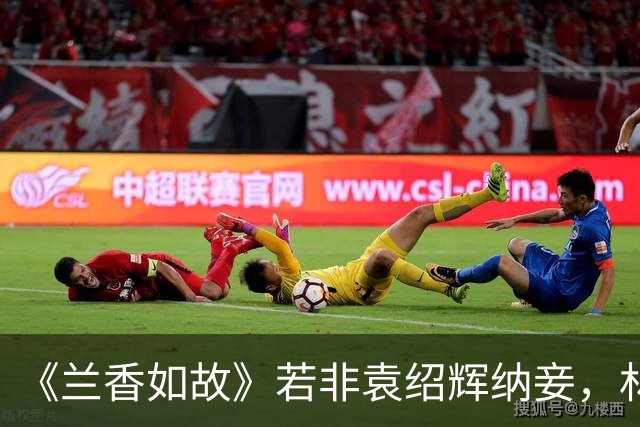 《兰香如故》若非袁绍辉纳妾，林锦岐始终不知，林绣茹有何手段