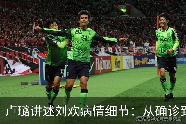 卢璐讲述刘欢病情细节：从确诊到离世，跟骨病熬了十七个年头