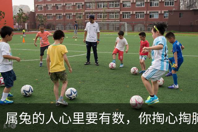 属兔的人心里要有数，你掏心掏肺对人家，对方根本不在意，今年秋天那个看似与你针锋相对的人，其实是来渡你的
