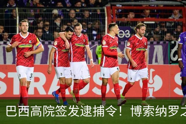 巴西高院签发逮捕令！博索纳罗之子被判4年2个月，护照直接注销