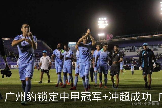 广州豹锁定中甲冠军+冲超成功 广州足球重返中超！