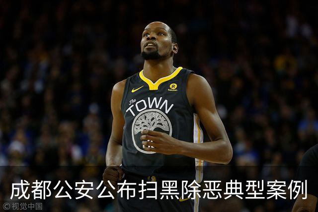 成都公安公布扫黑除恶典型案例