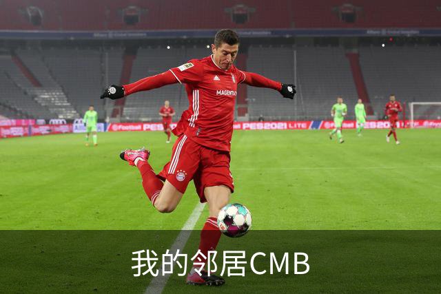 我的邻居CMB