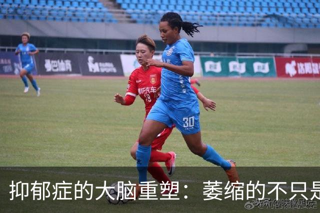 抑郁症的大脑重塑：萎缩的不只是情绪区