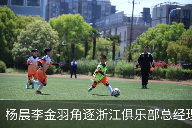 杨晨李金羽角逐浙江俱乐部总经理岗！顶着国脚光环又怎样？未必就能管好俱乐部