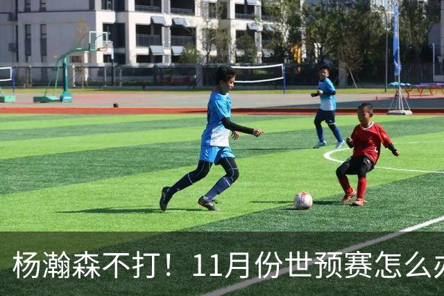 杨瀚森不打！11月份世预赛怎么办？这三人重返国家队才有可能赢