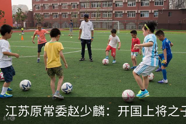 江苏原常委赵少麟：开国上将之子，退休8年因其子赵晋而入狱
