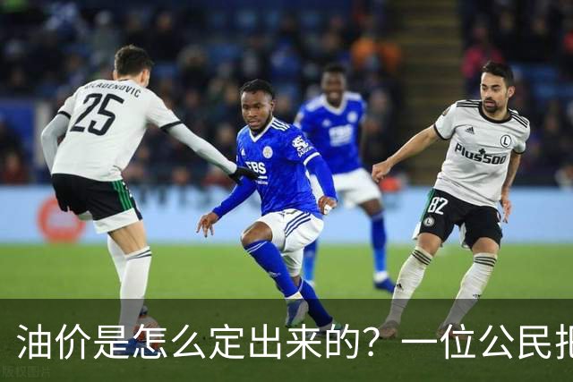 油价是怎么定出来的？一位公民把国家发改委告上了法庭 ——熊隆飞诉国家发改委政府信息公开案观察