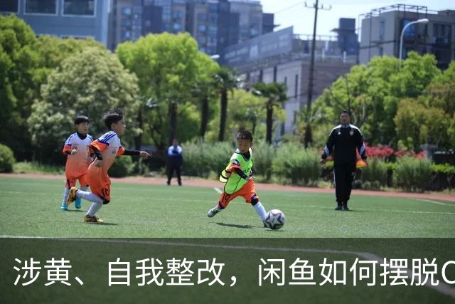 涉黄、自我整改，闲鱼如何摆脱C2C模式的“咸鱼”结尾