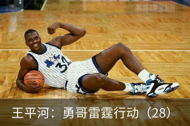 王平河：勇哥雷霆行动（2/8）