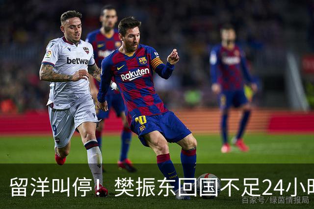 留洋叫停！樊振东回国不足24小时，官宣新身份，总算盼来这一天