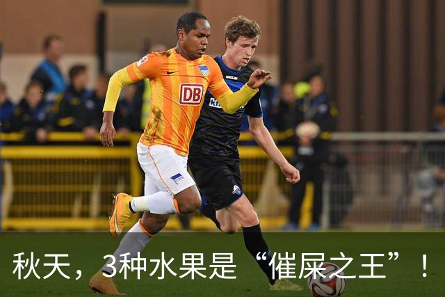 秋天，3种水果是“催屎之王”！常吃，排便顺畅、肠道干净一身轻