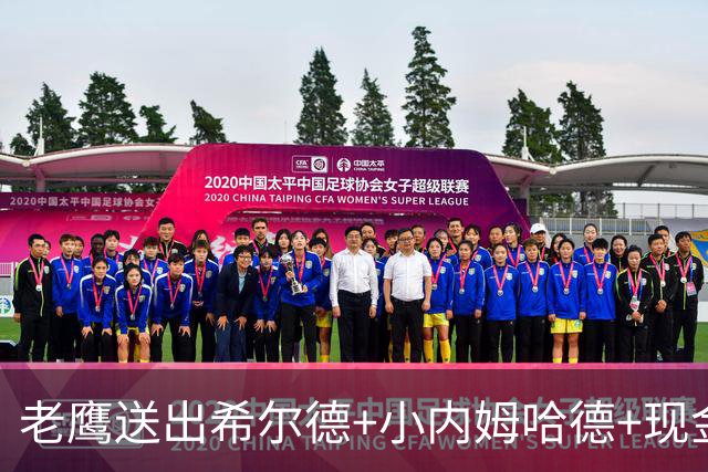老鹰送出希尔德+小内姆哈德+现金 从黄蜂换回DFS