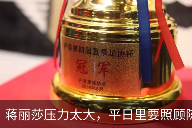 蒋丽莎压力太大，平日里要照顾陈浩民一家16口，自曝将立遗嘱！