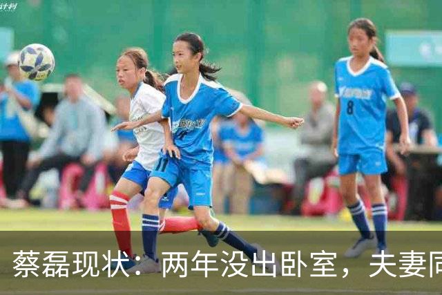 蔡磊现状：两年没出卧室，夫妻同城却基本不见，妻子专职带货？
