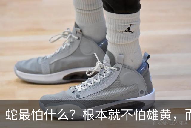 蛇最怕什么？根本就不怕雄黄，而是这四样，第4种沾上就会让它毙命