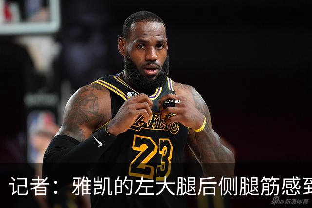 记者：雅凯的左大腿后侧腿筋感到紧张，不会参加与比利时的比赛