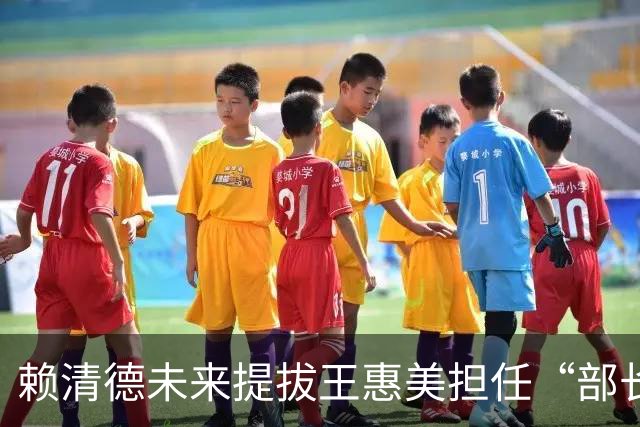 赖清德未来提拔王惠美担任“部长”的可能性有多大？
